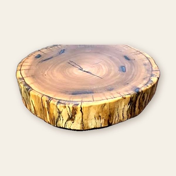 Thick round timber slab with a bark edge